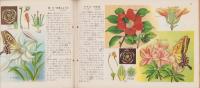 科学クラブ　第7号　-特集　花と虫・みつばちの生活-　昭和31年12月