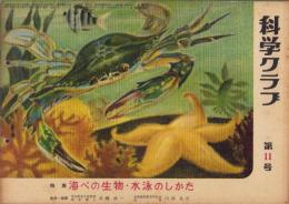 科学クラブ　第11号　-特集　海べの生物・水泳のしかた-　昭和31年8月