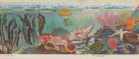 科学クラブ　第11号　-特集　海べの生物・水泳のしかた-　昭和31年8月