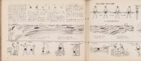 科学クラブ　第11号　-特集　海べの生物・水泳のしかた-　昭和31年8月