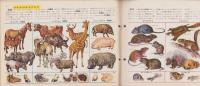 科学クラブ　第20号　-特集・動物のなかま-　昭和32年5月