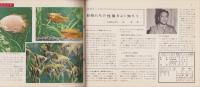 科学クラブ　第34号　-特集・動物のかいかたと訓練-　昭和33年6月