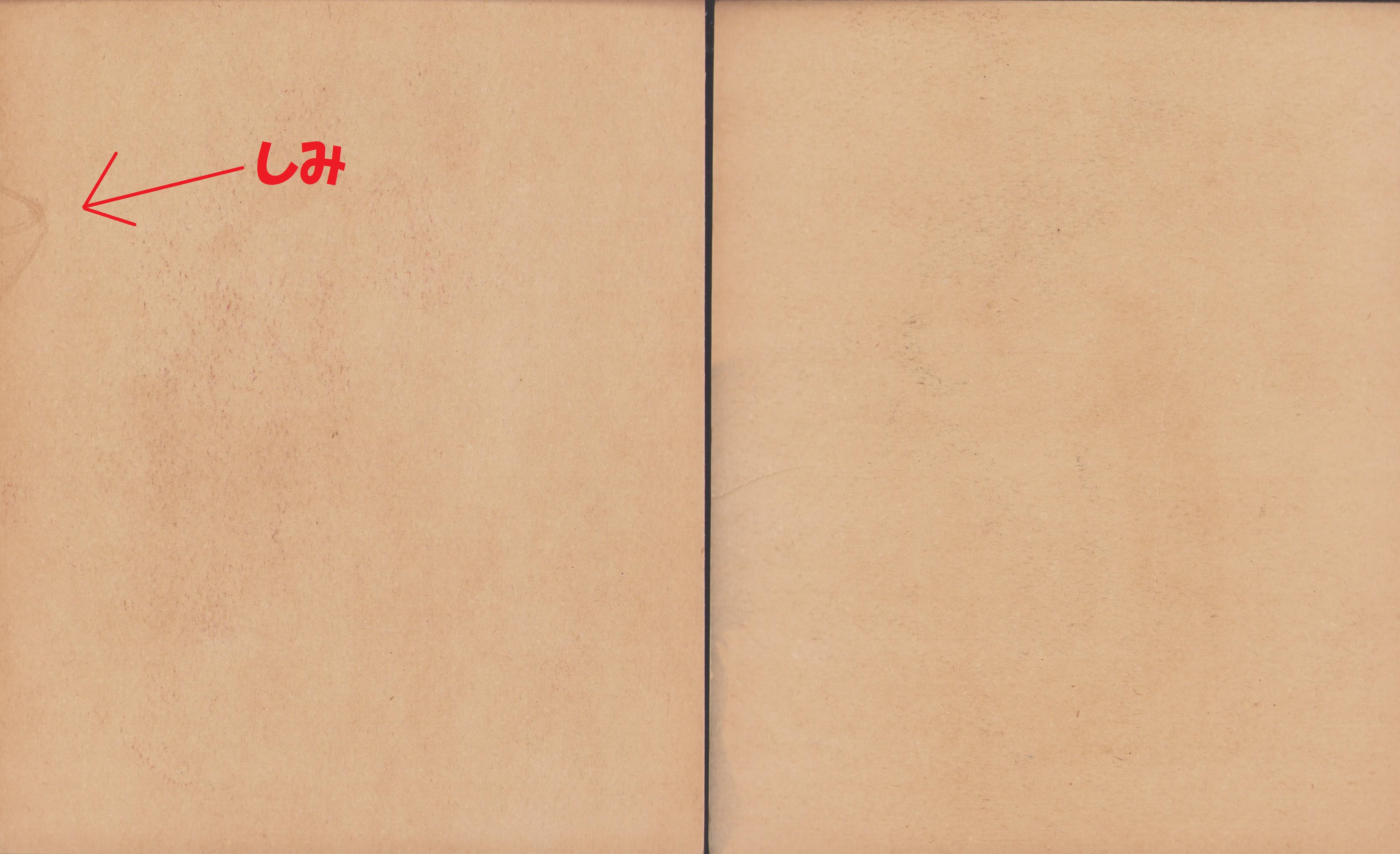中村清三 白香 水彩 色鉛筆 1997年 額装絵画 夏姿美人画の傑作色紙集 -主婦之友昭和7年8月号附録-(中村大三郎、鏑木