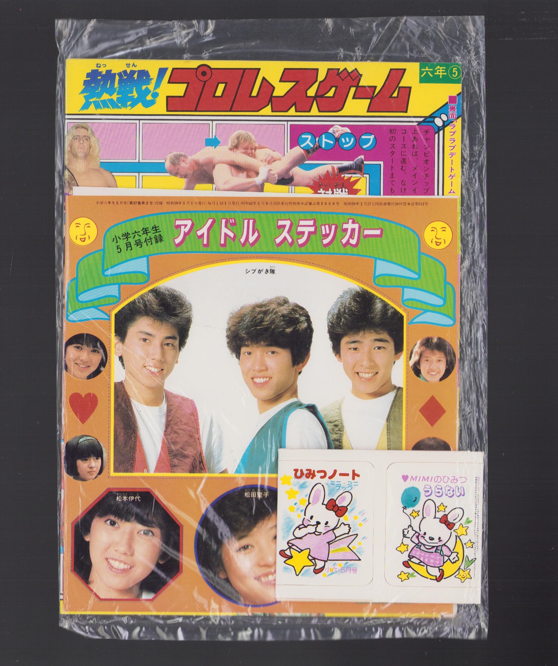 付録）熱戦！プロレスゲーム/アイドルステッカーなど 4点一括 -小学六