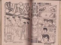 東京付近の沢　昭和56年2月2刷　白山書房 東京付近の沢 昭和56年2月2刷 白山書房 東京付近の