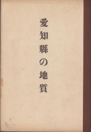 愛知県の地質