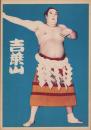 (ブロマイド）吉葉山　-大相撲力士-
