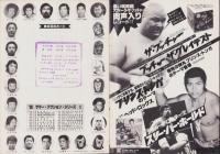 （プロレスパンフレット）全日本プロレスリング’80サマー・アクション・シリーズⅡ　-昭和55年-