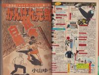 週刊少年サンデー　昭和56年9号　昭和56年2月11日号　表紙画・やまさき拓味「ズウ」ほか