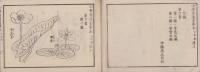 小学普通画学本　-乙之部第5-(愛知県）