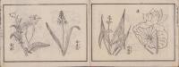 小学普通画学本　-乙之部第5-(愛知県）