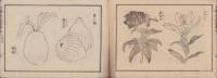 小学普通画学本　-乙之部第5-(愛知県）