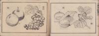 小学普通画学本　-乙之部第5-(愛知県）