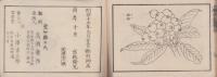 小学普通画学本　-乙之部第5-(愛知県）