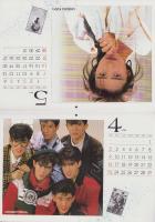（付録）’89アイドル・カレンダー