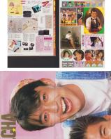 （付録）ポスター/パノラマSTICKER/ヤンソン　3点一括　-明星平成1年3月号付録-
