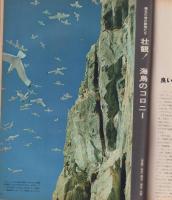アサヒグラフ　昭和50年10月24日号　表紙モデル・宮崎恭子