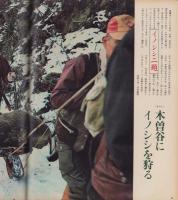 アサヒグラフ　昭和52年3月11日号　表紙モデル・山藤章二