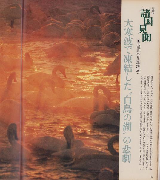 アサヒグラフ 昭和52年4月1日号 表紙モデル・清水健太郎 アサヒグラフ 昭和52年4月1日号 表紙モデル・清水健太郎