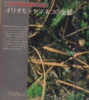 アサヒグラフ　昭和50年10月3日号　表紙モデル・柳館毅
