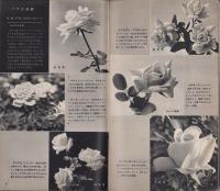 NHK女性教室　No.64　-主婦のバラ作り-　昭和35年3月号