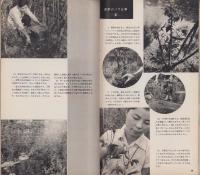 NHK女性教室　No.64　-主婦のバラ作り-　昭和35年3月号