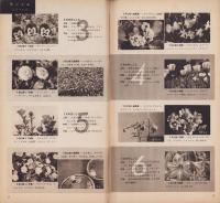 NHK女性教室　No.52　-庭つくり・花つくり-　昭和34年3月号