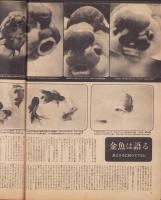 週刊サンニュース　22号　-昭和23年8月5日-　表紙モデル・辻田彌惠子