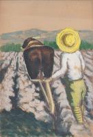 (原画）渡辺修宏　-雑誌『有畜農業』表紙絵か？-　5枚一括