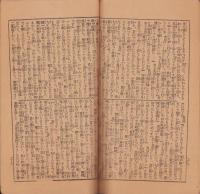 (付録）家庭講談　母の情　-名古屋新聞大正7年1月1日附録-