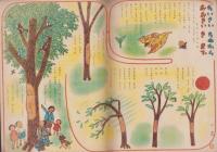 キンダーブック　-観察絵本-　昭和26年6月号　「きのはなし」　表紙画・吉澤廉三郎