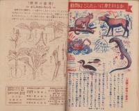 小学四年の学習　昭和23年5月号