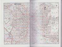 はい・まっぷ　豊橋市　全市版　‐アイゼンの住宅地図-（愛知県）