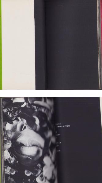 禁男の幻影 岡崎克彦 禁男の幻影 -レズビアン・ラブ- 岡崎克彦写真集(