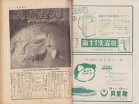 週刊朝日　昭和32年4月28日号　表紙画・杉本健吉「白芙蓉」