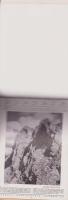 （カレンダー・独語）Spemanns Alpen-Kalender 1936（シュペーマン・アルペン・カレンダー）