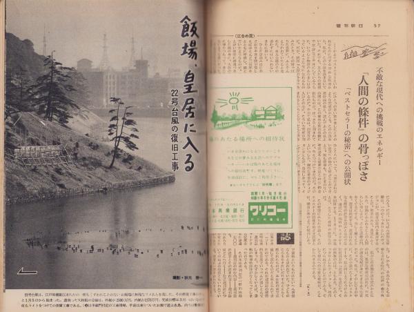 Amazon.co.jp: 中国墨 鉄斎翁書画宝墨 油煙101 徽歙曹素功堯千氏