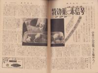 週刊読売　昭和33年7月20日号