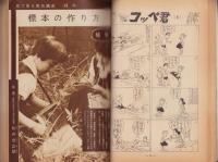 中学コース　昭和34年8月号　表紙画・佐藤泰治「いそ遊び」