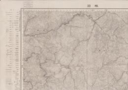 （地図）根羽　-5万分1地形図-（長野県）