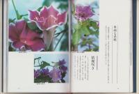 写真集　昭和の変化咲き朝顔