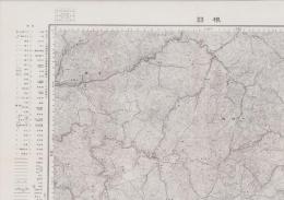 （地図）根羽　-応急修正版　5万分1地形図-（長野県）