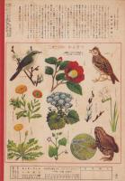 キンダーブック　-観察絵本-　昭和30年2月号「わたしはせきたん」表紙画・武井武雄