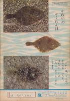 よいこのくに　昭和38年7月号　表紙画・藤田桜　-保育絵本-　