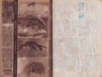 科学の友　昭和22年8月号　表紙画・中尾進「沈没船の引揚げ作業」