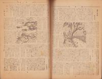 サンライズ　昭和22年7月号　表紙画・川島理一郎