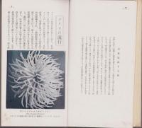 ダリヤの種類及び栽培
