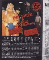 (プロレスパンフレット)F.M.W.　争覇　世界最強総合格闘技タッグ・リーグ戦　-平成3年11月20日-　