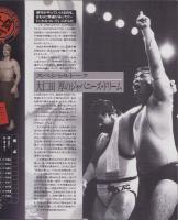 (プロレスパンフレット)F.M.W.　争覇　世界最強総合格闘技タッグ・リーグ戦　-平成3年11月20日-　