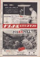 アサヒグラフ　昭和27年8月27日号　表紙撮影・大束元「川口雅子」